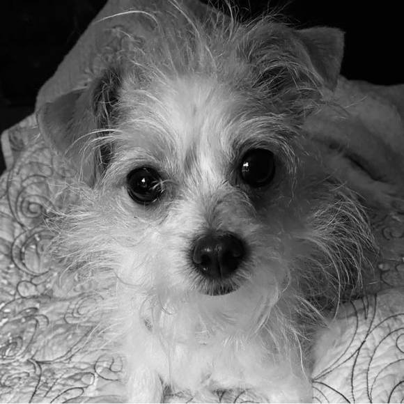 Meet your Posher, Lisa - Picture 1 of 1